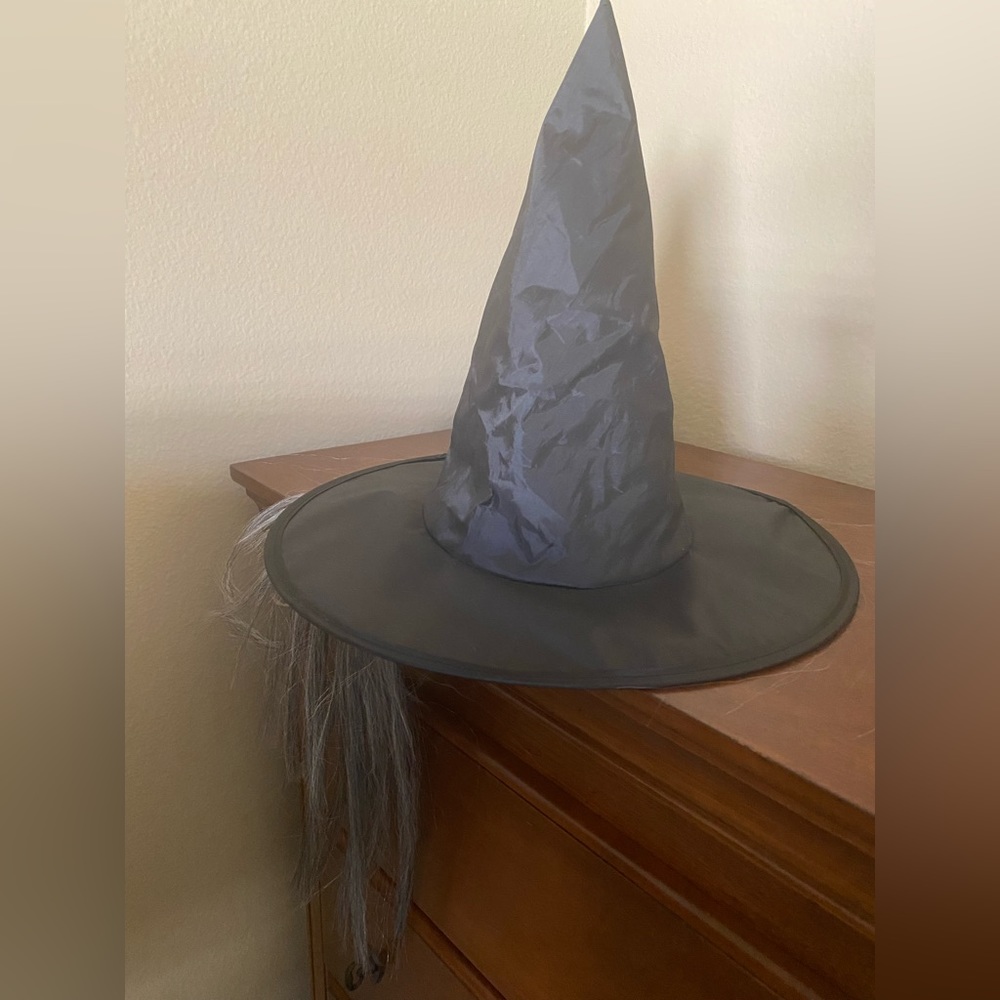 Halloween Witch Hat